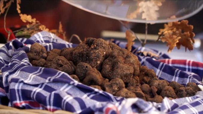 Nero Norcia: Mostra Mercato del Tartufo Nero dal 21 febbraio al 2 marzo