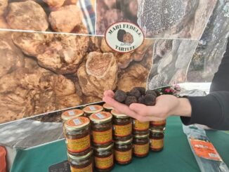 Scheggino celebra il tartufo con la XVIII edizione dell’evento
