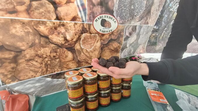 Scheggino celebra il tartufo con la XVIII edizione dell’evento