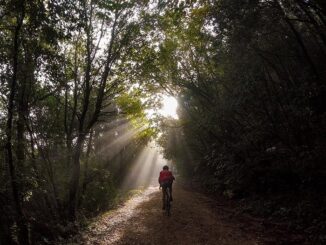 Gravel 2025 a Scheggino: bici e gusto in Valnerina