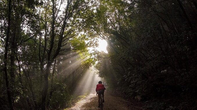 Gravel 2025 a Scheggino: bici e gusto in Valnerina