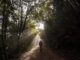 Gravel 2025 a Scheggino: bici e gusto in Valnerina