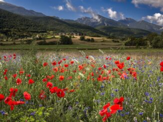 Scopri la Valnerina su Rai 1: Linea Verde in Umbria