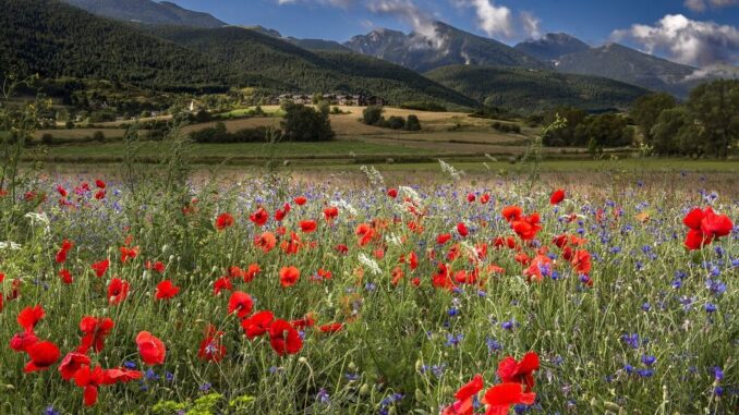 Scopri la Valnerina su Rai 1: Linea Verde in Umbria