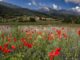 Scopri la Valnerina su Rai 1: Linea Verde in Umbria
