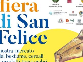 Fiera di san Felice, festa e tradizione a Monteleone