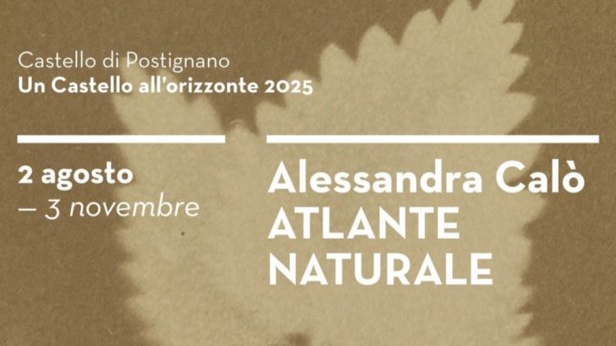 "Atlante naturale" di Alessandra Calò a Postignano