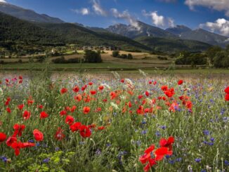 Fondo montagna dimezzato, Uncem chiede risorse urgenti