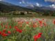 Fondo montagna dimezzato, Uncem chiede risorse urgenti