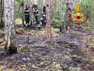 incendio, boschivo, Spoleto, Vigili del fuoco, Monteleone, Monte Sciudri, intervento, salvataggio.