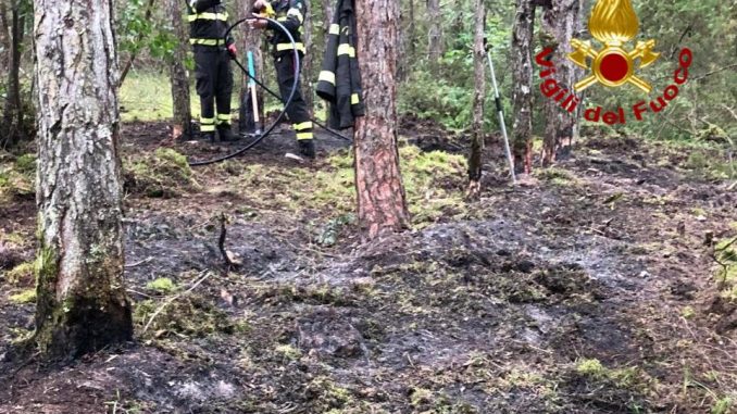 incendio, boschivo, Spoleto, Vigili del fuoco, Monteleone, Monte Sciudri, intervento, salvataggio.