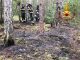 incendio, boschivo, Spoleto, Vigili del fuoco, Monteleone, Monte Sciudri, intervento, salvataggio.