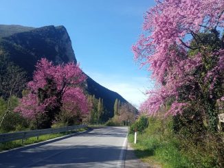 Sindaca Benedetti contro i rettilinei pericolosi sulla SS 685