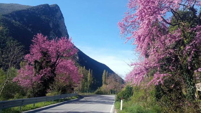 Sindaca Benedetti contro i rettilinei pericolosi sulla SS 685