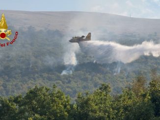 Incendio Contenuto sul Monte Coscerno dopo Intenso Lavoro