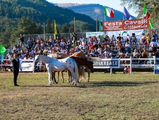 Festa Cavalli a Cittareale, tre giorni tra equitazione e storia