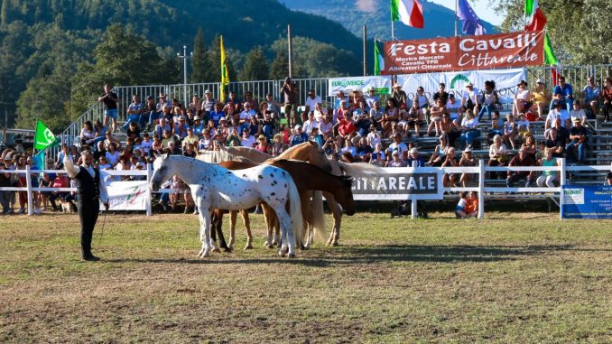 Festa Cavalli a Cittareale, tre giorni tra equitazione e storia