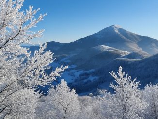Gelo estremo sul Montefeltro [Video] per Serravalle del Chienti è la galaverna