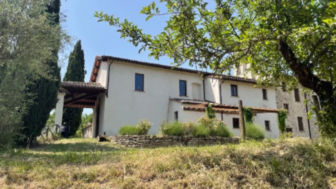 Azienda umbra Vipal su Rai 3 modello impresa nel G7