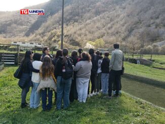 Trota mediterranea, studenti scoprono tutela biodiversità