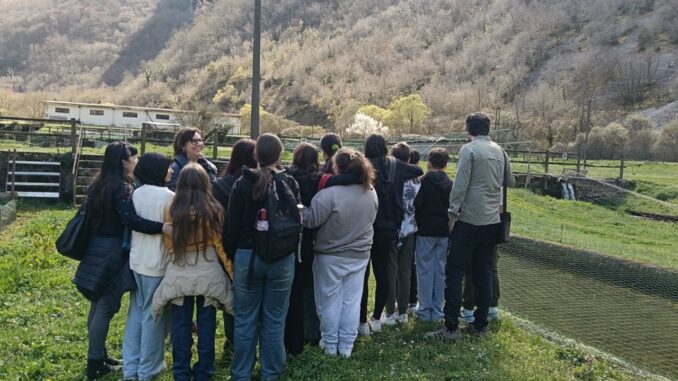 Trota mediterranea, studenti scoprono tutela biodiversità