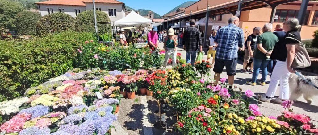 Giardinaggio: Sant'Anatolia di Narco ospita la grande mostra