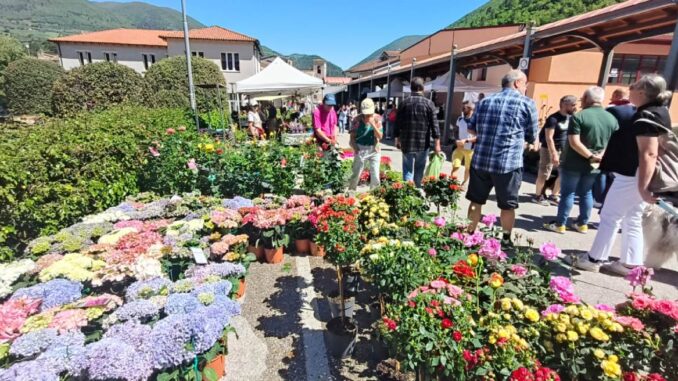 Giardinaggio: Sant'Anatolia di Narco ospita la grande mostra