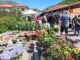 Giardinaggio: Sant'Anatolia di Narco ospita la grande mostra